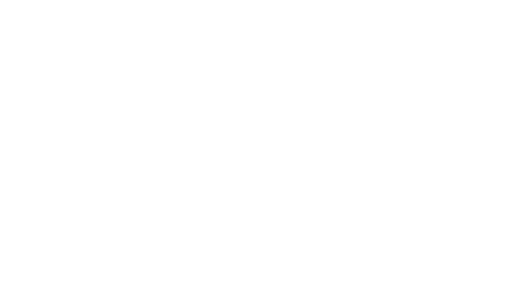 THELYNK